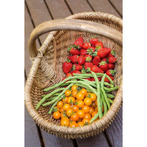 Horton, Janet 아티스트의 Issaquah-Washington State-USA Basket of freshly picked strawberries작품입니다.